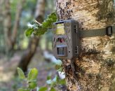 Comment choisir une caméra de chasse ?